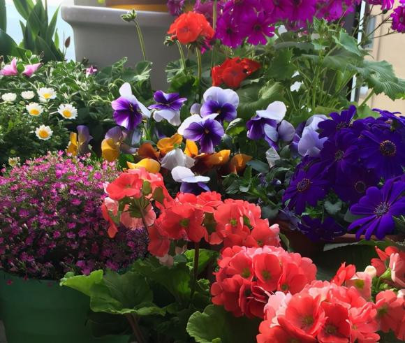 Trong nha co 3 chom sao nay, nua cuoi nam 2022 tien bac chat ket