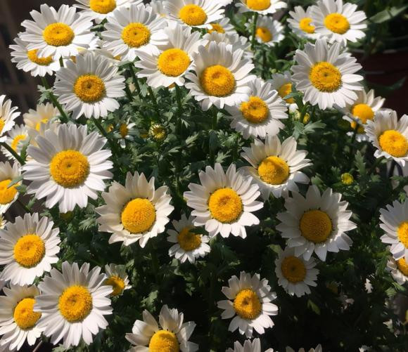 Trong nha co 3 chom sao nay, nua cuoi nam 2022 tien bac chat ket-Hinh-2