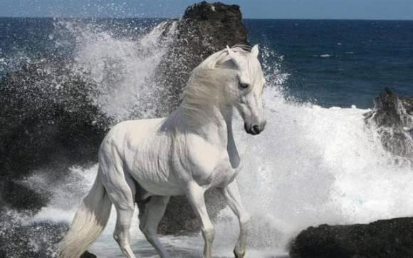 Tu 2/8 den 31/8, ba con giap lam an phat dat, tai loc doi dao-Hinh-3