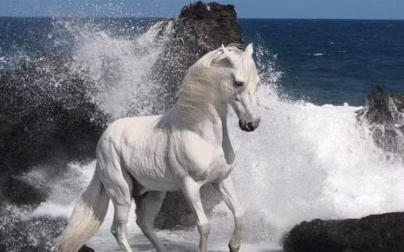 Tu 2/8 den 31/8, ba con giap lam an phat dat, tai loc doi dao-Hinh-3