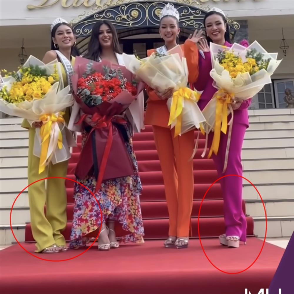 Netizen đòi giải cứu Top 3 Miss Universe VN vì trang phục sến súa - Hình 5 Netizen doi giai cuu Top 3 Miss Universe VN vi trang phuc sen sua-Hinh-5