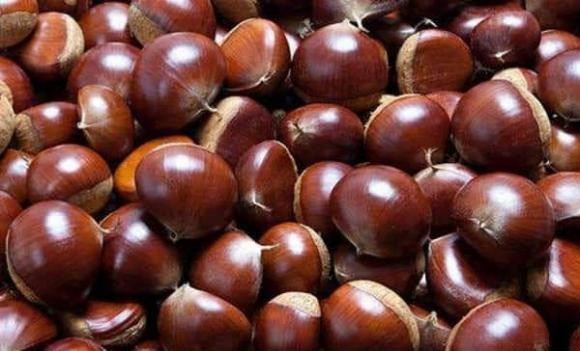 Hat de an khong dung cach co the gay doc cho co the-Hinh-2