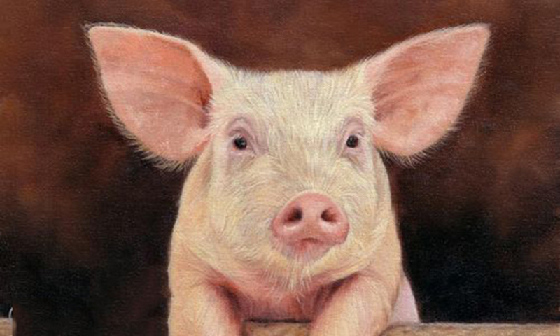 Chính vì thế, tuổi Hợi đi đâu, làm gì cũng được nhiều người yêu quý, lúc khó khăn, hoạn nạn dễ tìm được nhiều sự trợ giúp.