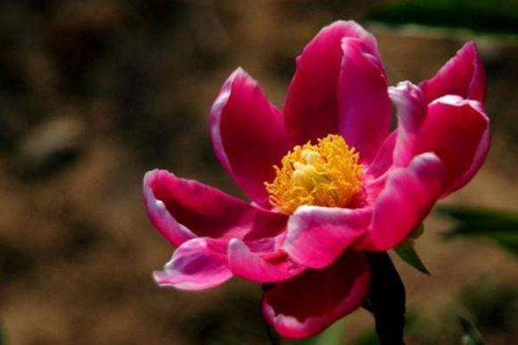 Tre sinh vao nhung ngay sau sinh ra co phuc khi, tuong mao tot-Hinh-2