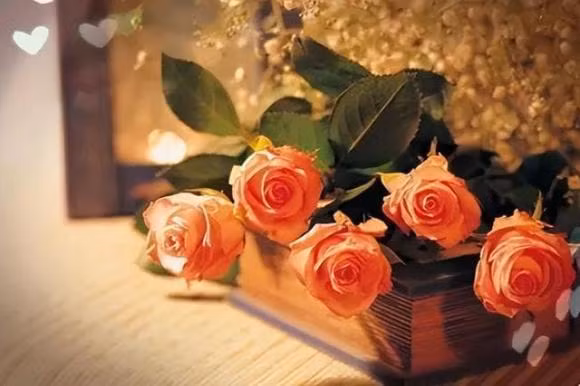 Ba nguoi nay hay den nha thuong “chuyen lon chang lanh”, nen canh giac