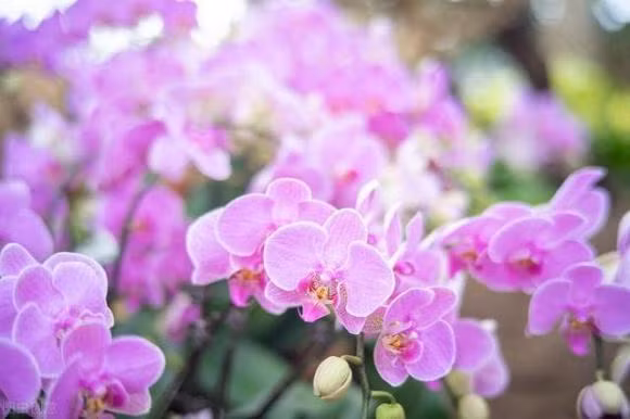 Ba nguoi nay hay den nha thuong “chuyen lon chang lanh”, nen canh giac-Hinh-3