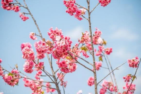 Ba nguoi nay hay den nha thuong “chuyen lon chang lanh”, nen canh giac-Hinh-2