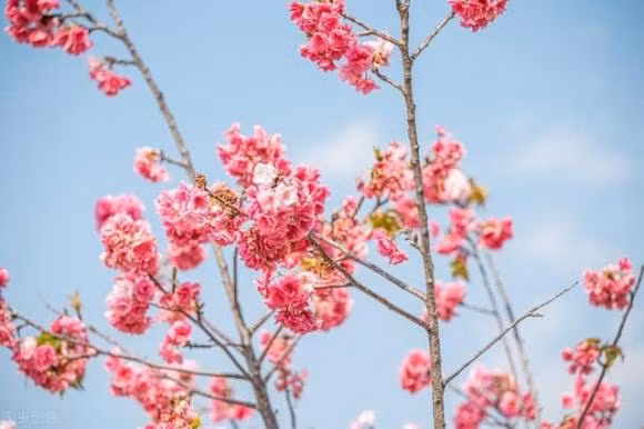 Ba nguoi nay hay den nha thuong “chuyen lon chang lanh”, nen canh giac-Hinh-2