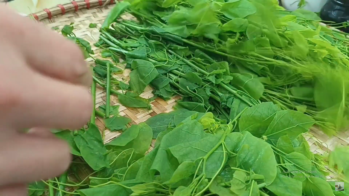 Thứ rau dại có mùi khai nồng, nay thành món đặc sản - Hình 2 Thu rau dai co mui khai nong, nay thanh mon dac san-Hinh-2