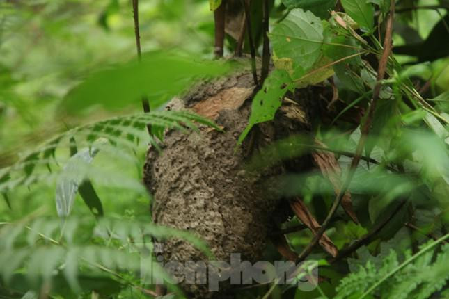 Kiem tien trieu moi ngay nho nghe san trung kien o Bac Giang-Hinh-6