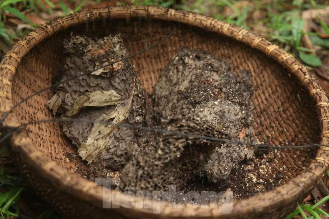 Kiem tien trieu moi ngay nho nghe san trung kien o Bac Giang-Hinh-9