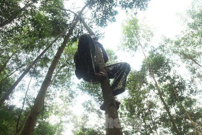 Kiem tien trieu moi ngay nho nghe san trung kien o Bac Giang-Hinh-4