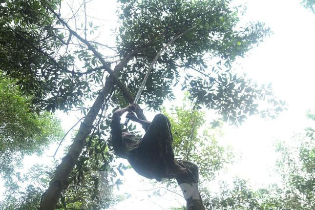 Kiem tien trieu moi ngay nho nghe san trung kien o Bac Giang-Hinh-5