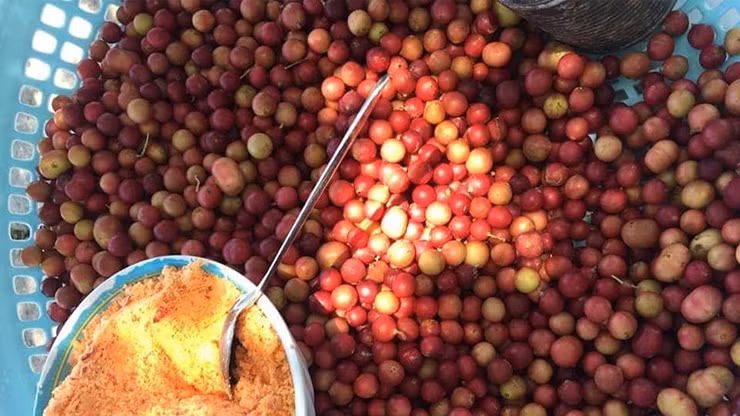 Đây là trái da đá.