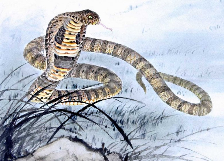 Đen mãi đủ rồi: 3 tuổi Thần Tài yêu, 10 ngày tới tiền đầy két - Hình 3 Den mai du roi: 3 tuoi Than Tai yeu, 10 ngay toi tien day ket-Hinh-3