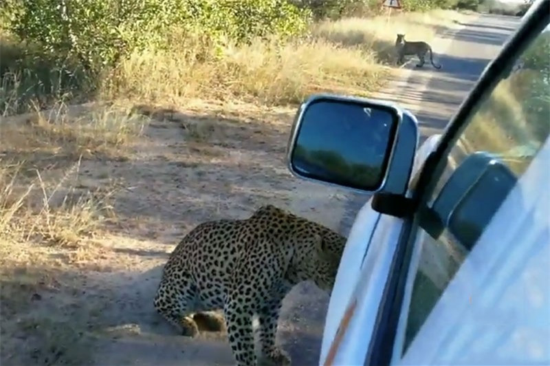 Báo đòi “xơi tái” ôtô để khoe mẽ với bạn tình ảnh 1