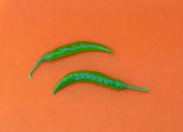 Nhung loi ich tuyet voi ma ot xanh mang lai-Hinh-4