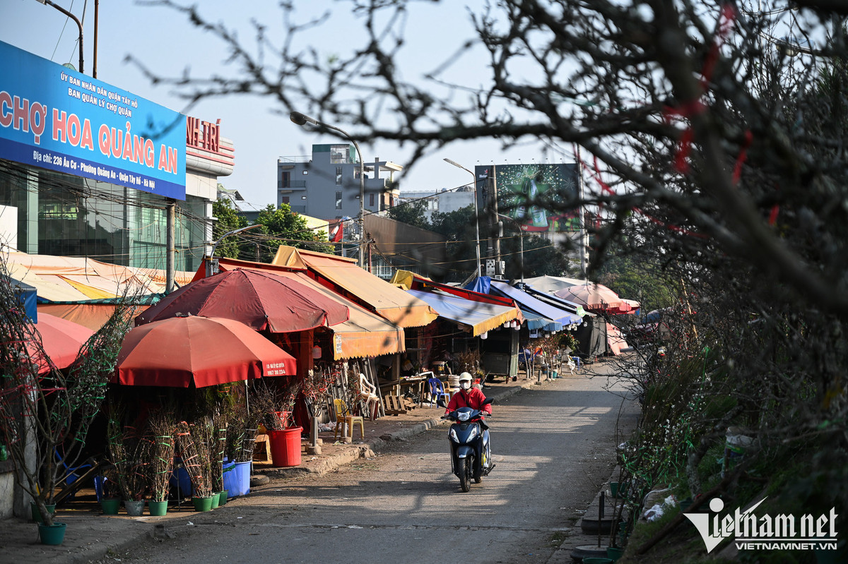 Dan Hai Phong, Nam Dinh mua canh dao choi Tet Duong lich