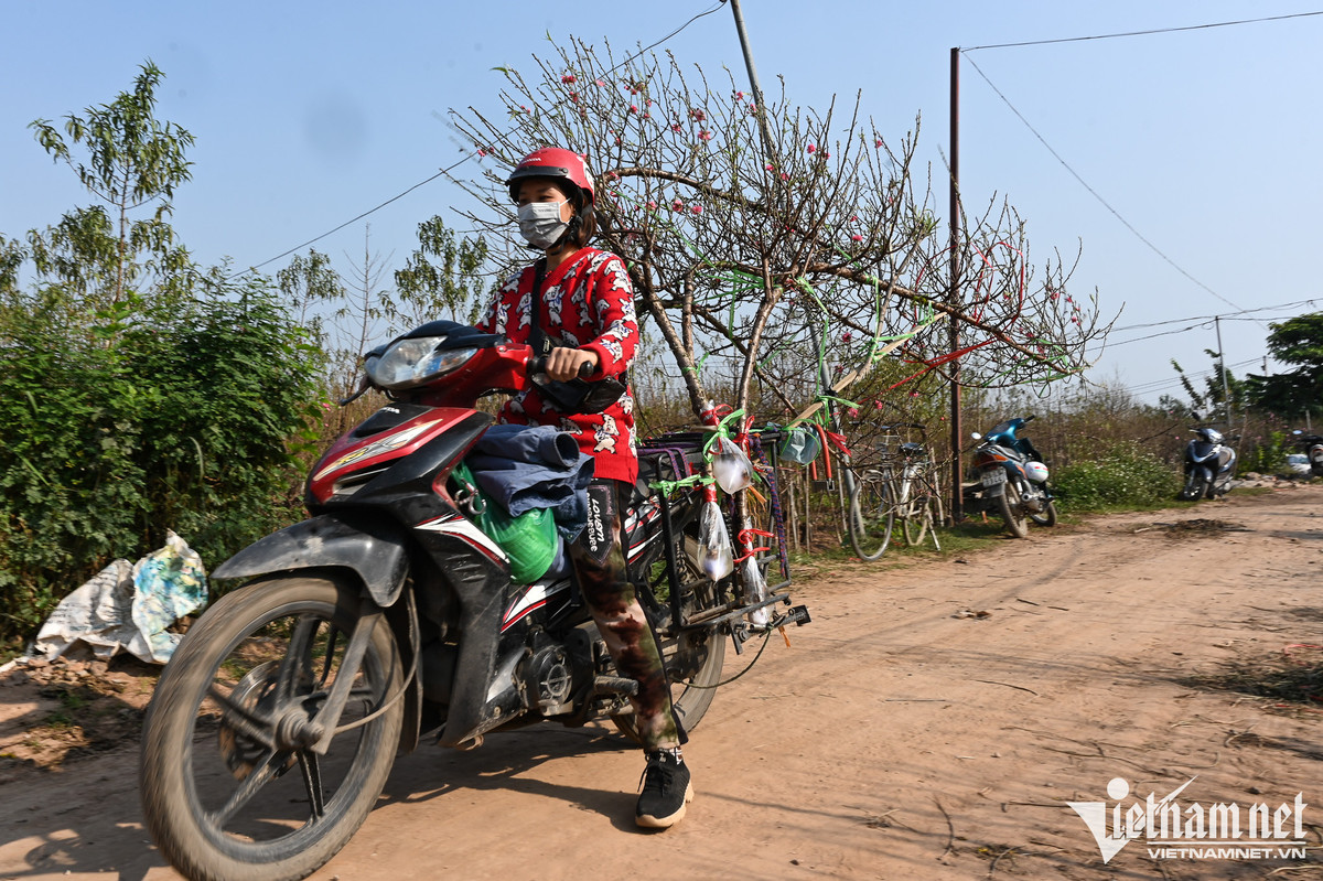 Dan Hai Phong, Nam Dinh mua canh dao choi Tet Duong lich-Hinh-12