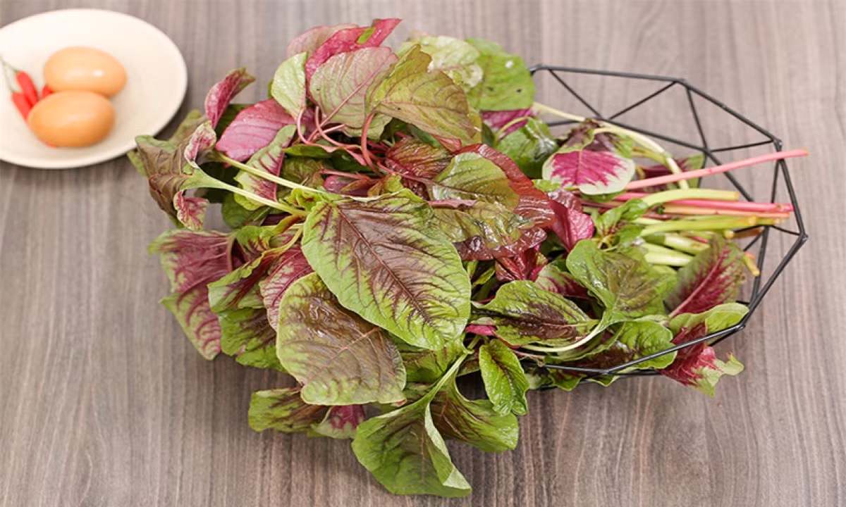 Bệnh nhân tiểu đường có nên ăn rau dền không? ảnh 1 Bệnh nhân tiểu đường có nên ăn rau dền không? ảnh 1