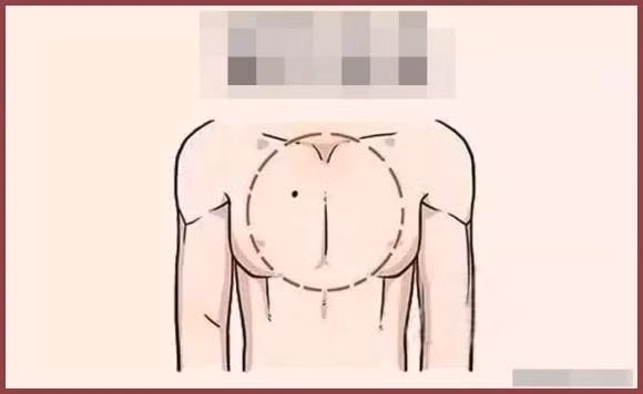 5. Nốt ruồi trên ngực. Nốt ruồi trên ngực có nghĩa là bạn có cuộc sống giàu sang, phú quý về kinh tế, bất kể là “tham vọng lớn” hay “rồng đôi gắp ngọc”, bạn sẽ luôn là con cưng của vận may!