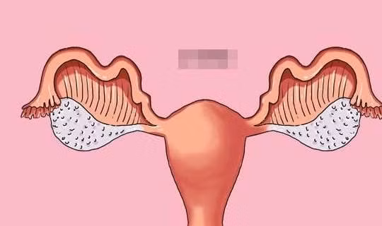 An chay trong thoi gian dai co tot hay khong tot cho co the?-Hinh-4