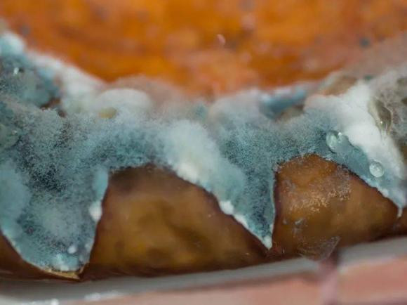 3 thuc pham pho bien hai gan nen canh giac-Hinh-5