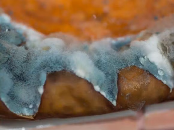 3 thuc pham pho bien hai gan nen canh giac-Hinh-5