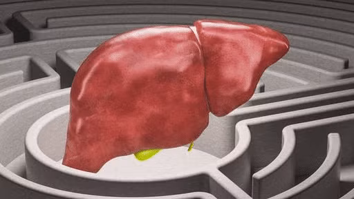 3 thuc pham pho bien hai gan nen canh giac-Hinh-3