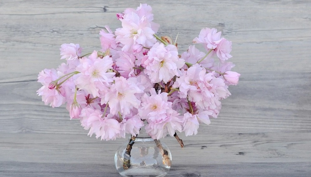 Nguoi sinh vao 3 thang Am lich nay, co tai lanh dao