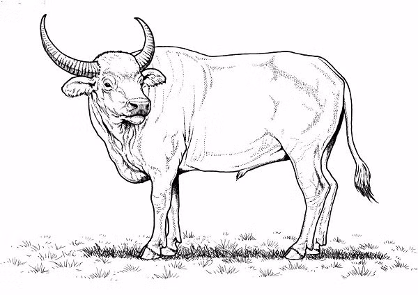 3 con giáp tháng 7 âm khổ tận, tháng 8 âm đổi vận giàu có 3 con giap thang 7 am kho tan, thang 8 am doi van giau co