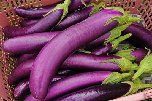 Lợi ích tuyệt vời của cà tím không phải ai cũng biết Loi ich tuyet voi cua ca tim khong phai ai cung biet