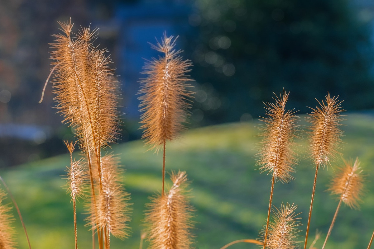 Sau một thời gian làm việc chăm chỉ, người sinh vào 2 tháng Âm lịch này sẽ thấy rằng mình có thể duy trì được tinh thần làm việc lạc quan, chăm chỉ. Họ cũng không lo bị người xấu kìm hãm và "dắt mũi" nên trong công việc cũng chủ động, sáng tạo hơn.