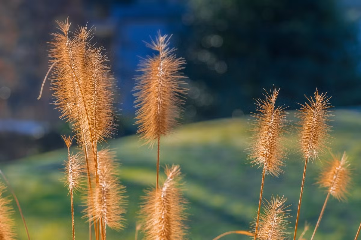 Sau một thời gian làm việc chăm chỉ, người sinh vào 2 tháng Âm lịch này sẽ thấy rằng mình có thể duy trì được tinh thần làm việc lạc quan, chăm chỉ. Họ cũng không lo bị người xấu kìm hãm và "dắt mũi" nên trong công việc cũng chủ động, sáng tạo hơn.