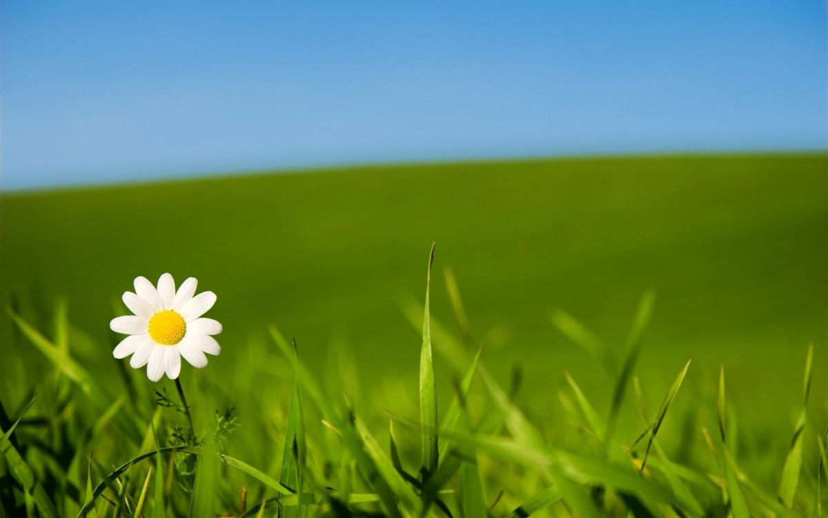 May mắn thay, người sinh tháng Âm lịch này lại nhanh chóng lấy lại cân bằng, giữ vững tâm lý để tích cực vươn lên, thoát khỏi "đáy vực" của thất bại.