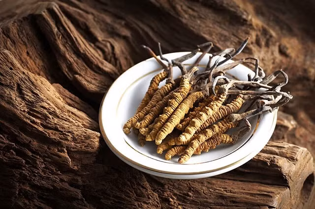 Nhung loai nam dat do, an mot mieng da bang gia tai ca doi