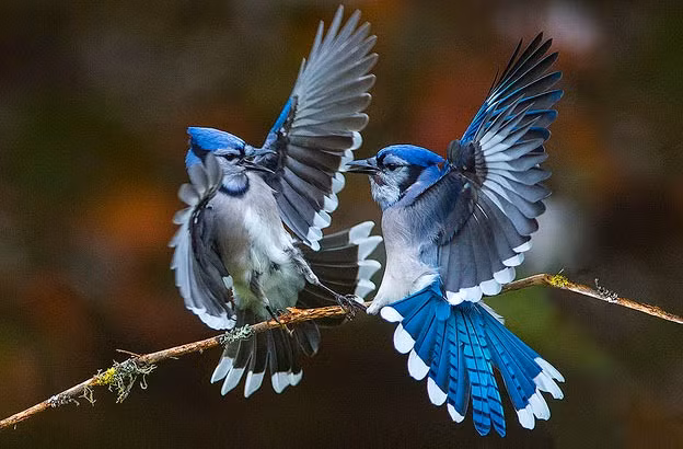 Ai sinh ngay Am lich nay tri tue minh man, gioi kiem tien