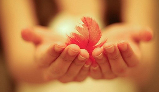 Bên cạnh đó, chẳng ai hoàn hảo cả, ai cũng có thể phạm sai lầm, quan trọng là đừng tiệt đường sống bất cứ ai khác, nếu người khác phạm lỗi lầm hãy cho họ cơ hội sửa sai, làm lại từ đầu. 