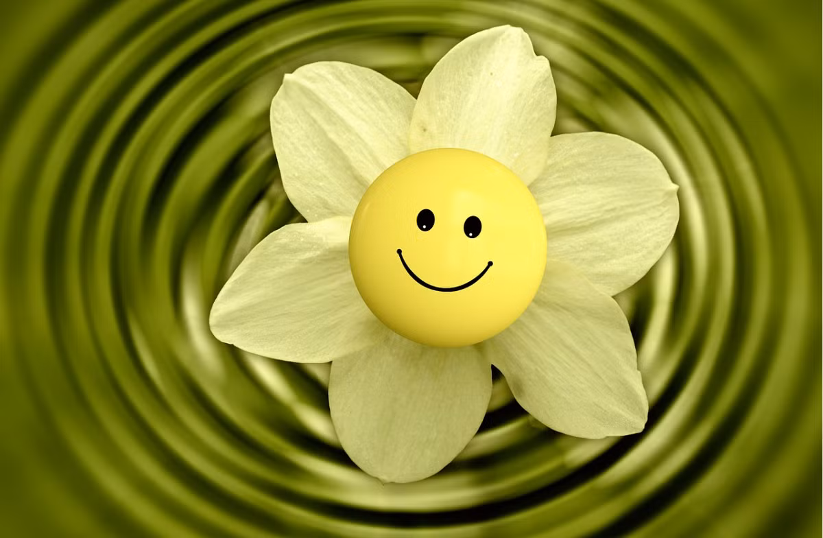 Với sự vị tha trong lòng mình, hãy tha thứ cho họ, thậm là người đã từng hại ta. Những người đã gây ra lỗi lầm với ta, nếu họ quay đầu ta đừng tiếc tin tưởng họ thêm lần nữa, nhưng nếu là việc họ cố tình thì nên tránh xa kiểu người này.