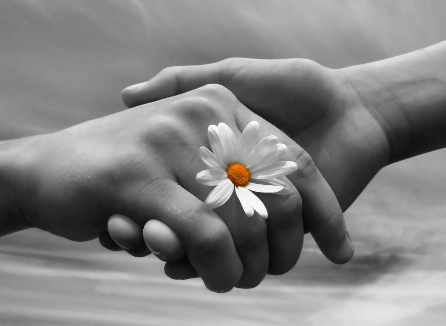 Đừng cho rằng tính toán chi ly thì mới là thông thái, chỉ cần sống đơn giản, đại nghĩa, không thẹn với lòng chắc chắn bạn sẽ được quý nhân phù trợ độ trì, vận may cũng từ đó mà kéo đến cho người chẳng tham lam, mong cầu gì quá nhiều.