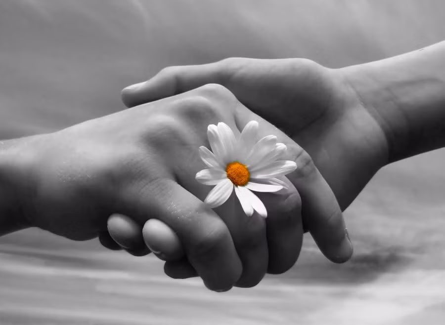 Đừng cho rằng tính toán chi ly thì mới là thông thái, chỉ cần sống đơn giản, đại nghĩa, không thẹn với lòng chắc chắn bạn sẽ được quý nhân phù trợ độ trì, vận may cũng từ đó mà kéo đến cho người chẳng tham lam, mong cầu gì quá nhiều.