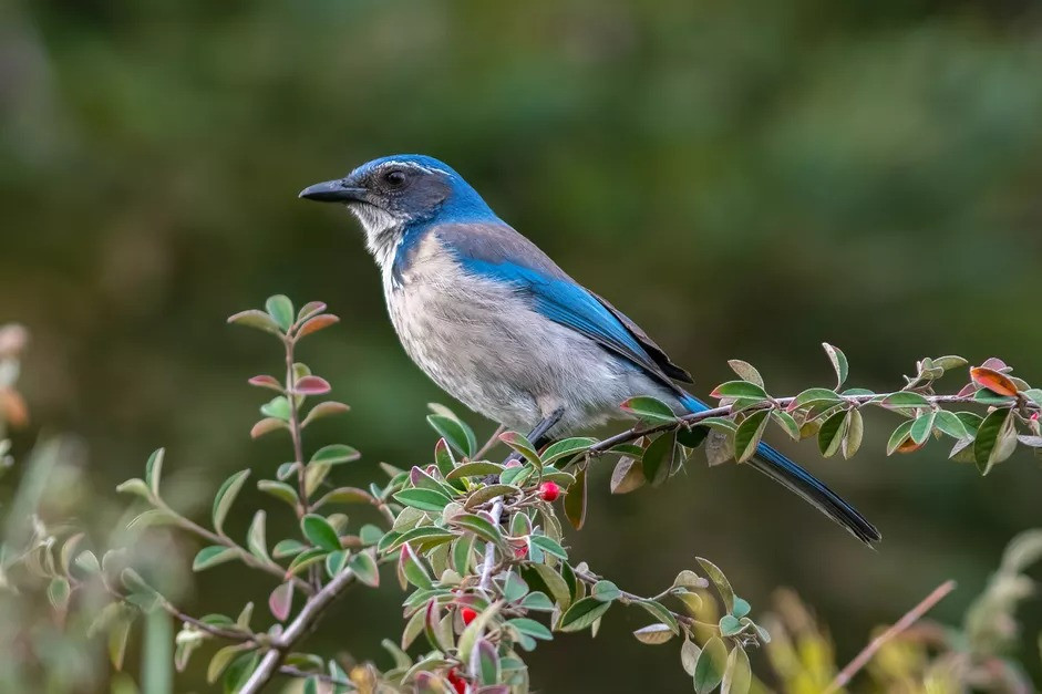 Sinh tháng Âm lịch này kiên định mục tiêu, nhất định thắng lợi Sinh thang Am lich nay kien dinh muc tieu, nhat dinh thang loi