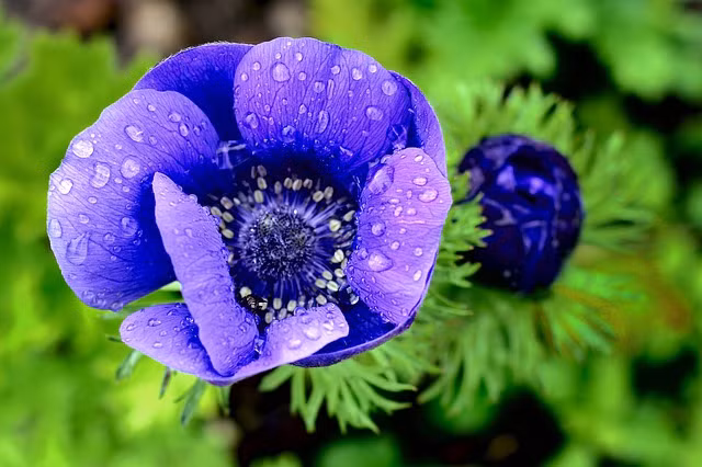 Sinh vao 5 ngay Am lich nay nam 2022 khong gap bao lon