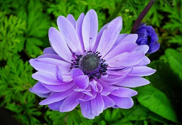 Sinh vao 5 ngay Am lich nay, cuoi nam ngan kho tran day-Hinh-3