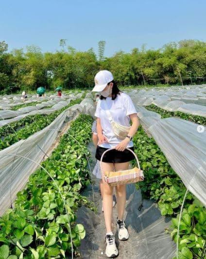 ù bận rộn với công việc kinh doanh nhưng cứ tới cuối tuần Ly Kute đều cố gắng sắp xếp thời gian, đưa con đi chơi bằng các chuyến dã ngoại. Trong hình, hot mom đưa quý tử đi hái dâu tây trong một buổi dã ngoại.