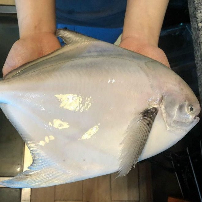 Đi chợ thấy 8 loại cá này nên mua ngay, đảm bảo cá tự nhiên - Hình 7 Di cho thay 8 loai ca nay nen mua ngay, dam bao ca tu nhien-Hinh-7