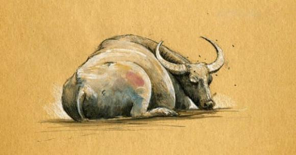 3 con giap la ngoi sao may man cua gia dinh, phuc van vo bien