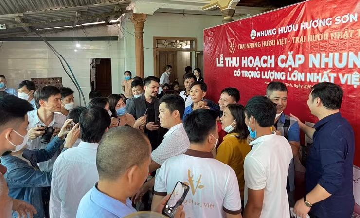 Cap nhung huou “doc nhat vo nhi”, duoc tra 220 trieu chua ban-Hinh-4