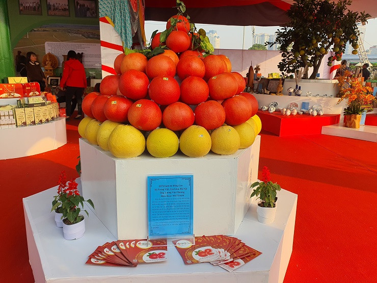 Buoi do nhu son co gia 150 nghin dong/qua xuong pho-Hinh-2