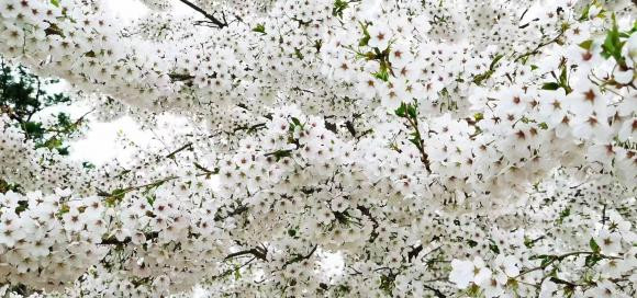 Trong cuoc song, muon kiem duoc nhieu tien, ban phai dua vao bon dieu nay